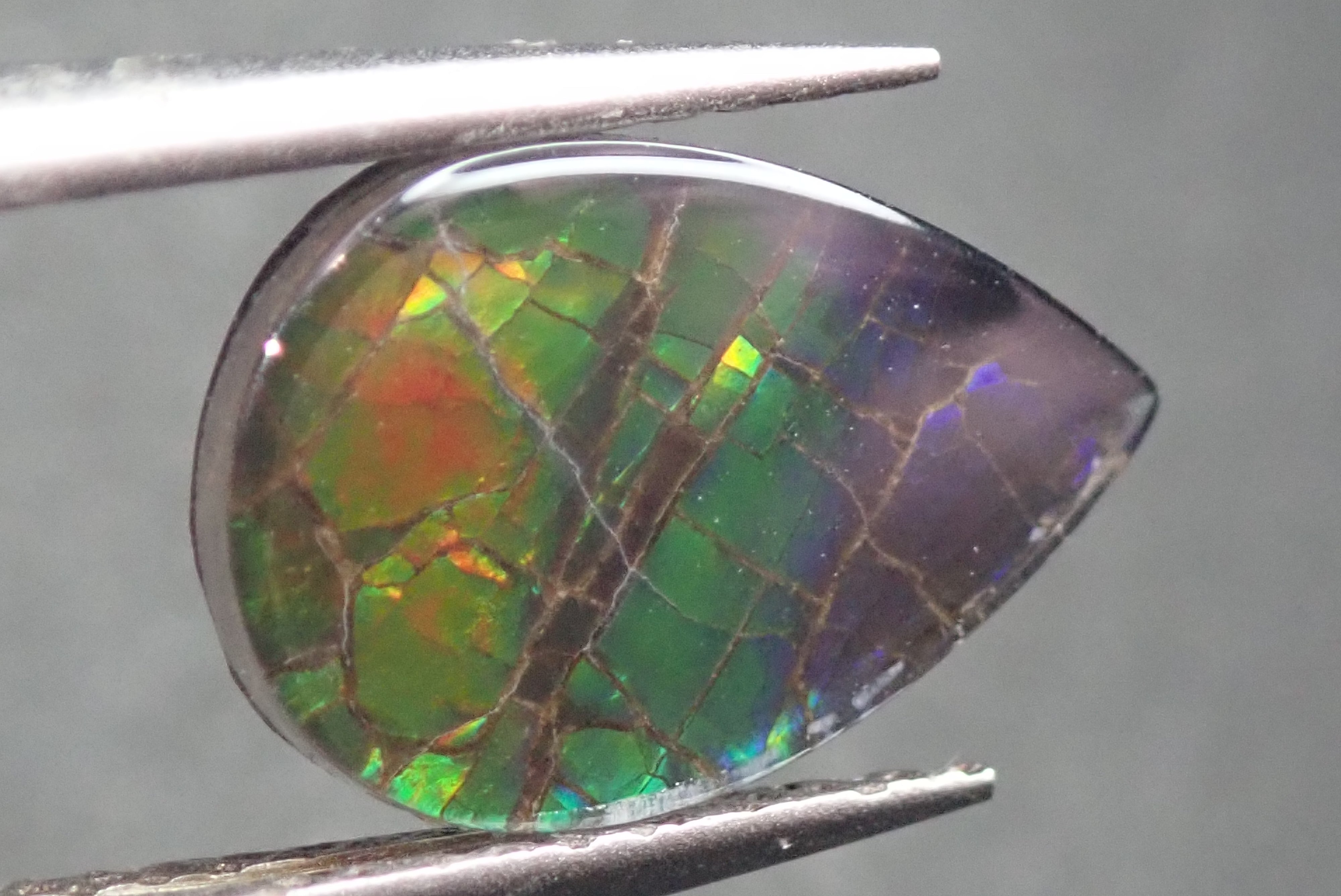 アンモライト 2.458ct – Shis Color