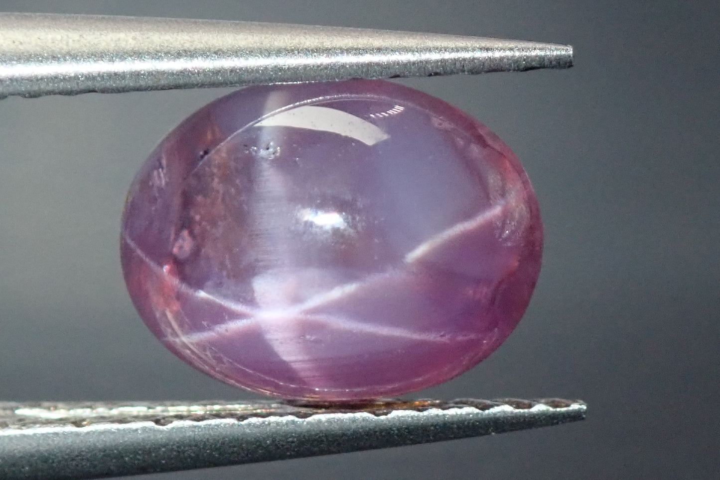 Purple star sapphire 3.989ct